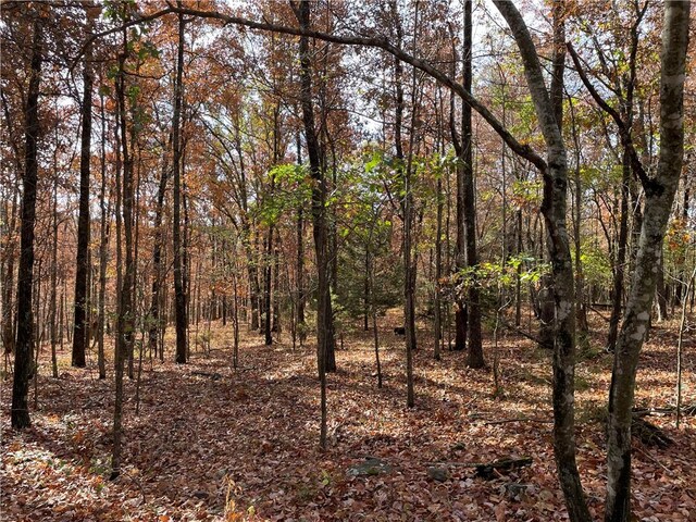 TBD Madison 5326 Rd, Huntsville, AR 72740 - photo 12