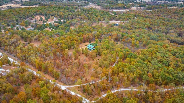 12307 Westridge Dr, Harrison, AR 72601 - photo 45