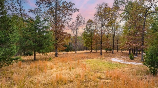 12307 Westridge Dr, Harrison, AR 72601 - photo 46