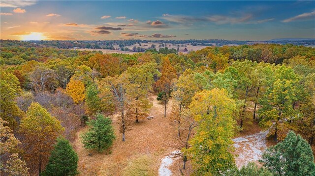 12307 Westridge Dr, Harrison, AR 72601 - photo 47