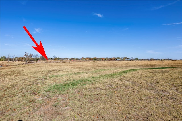 view of yard with a rural view