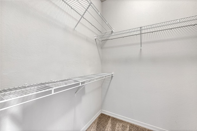 spacious closet featuring dark colored carpet