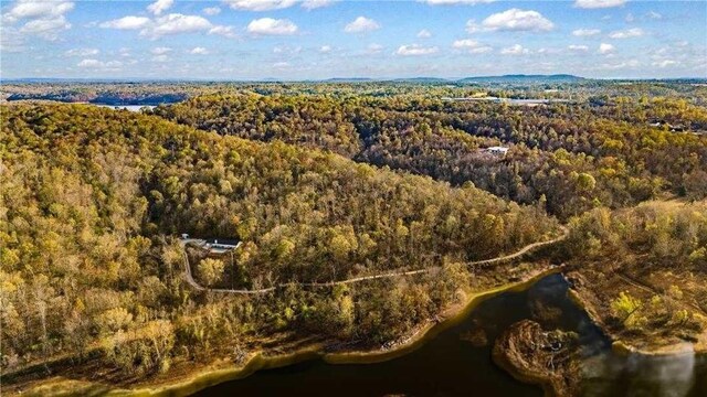 10729 Anzac Dr, Lowell, AR 72745 - aerial view of property's location with a forest and a nearby body of water