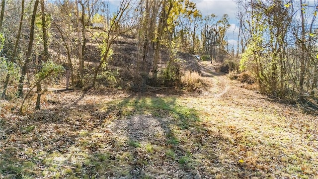 view of local wilderness featuring a wooded view
