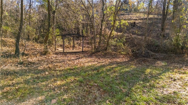 view of local wilderness featuring a wooded view