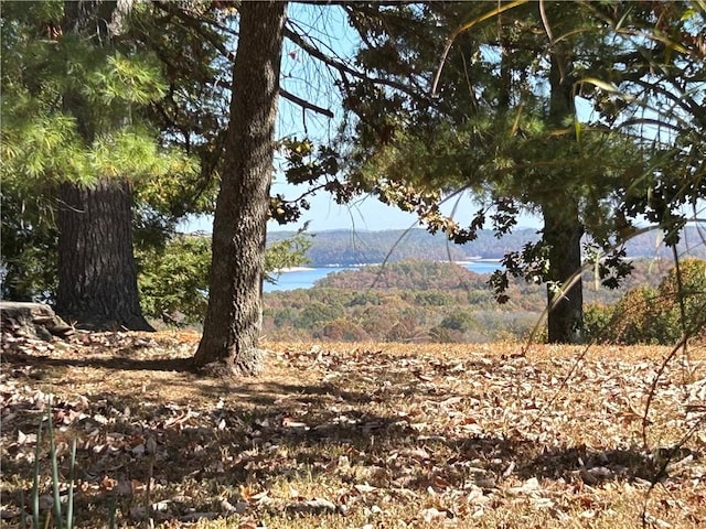 view of nature with a water and mountain view