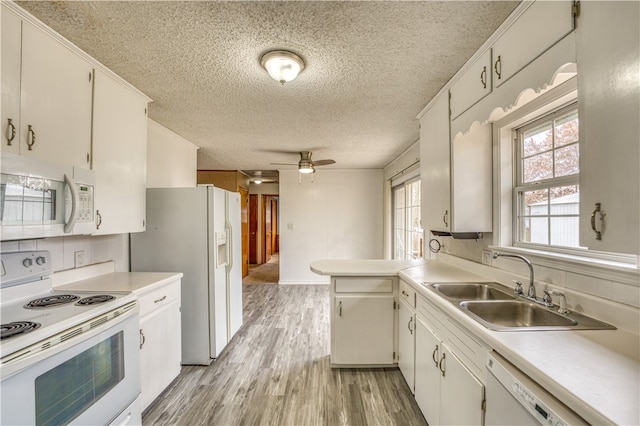 kitchen featuring tasteful backsplash, light wood-type flooring, sink, white cabinets, and white appliances