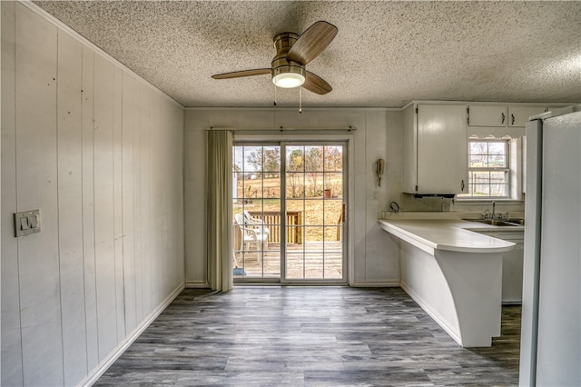 unfurnished dining area with dark hardwood / wood-style flooring, wood walls, sink, and ceiling fan