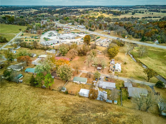 drone / aerial view