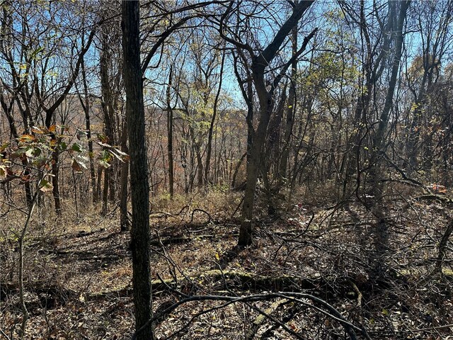 Aster Dr, Rogers, AR 72756