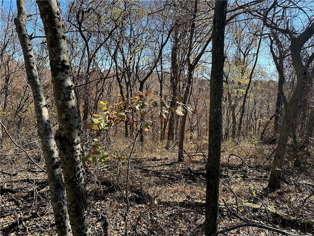 Aster Dr, Rogers, AR 72756