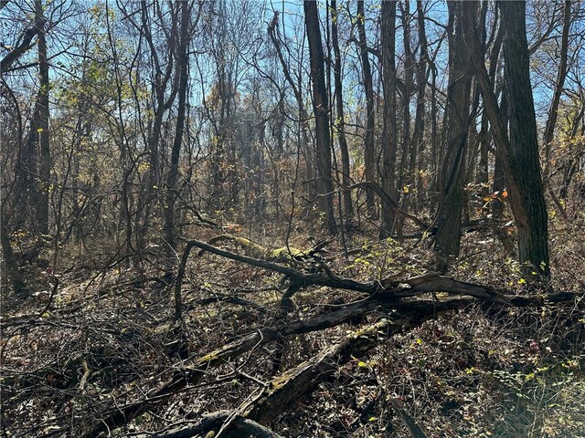 Aster Dr, Rogers, AR 72756