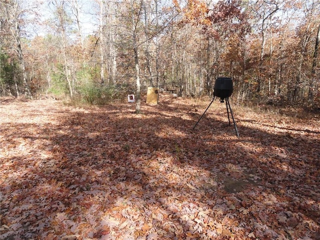 305 Deer Run Rd, Leslie, AR 72645 - view of yard with a forest view