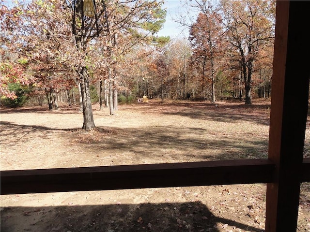 305 Deer Run Rd, Leslie, AR 72645 - view of yard