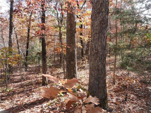 305 Deer Run Rd, Leslie, AR 72645 - view of local wilderness