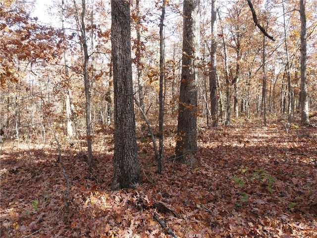 305 Deer Run Rd, Leslie, AR 72645 - view of woods