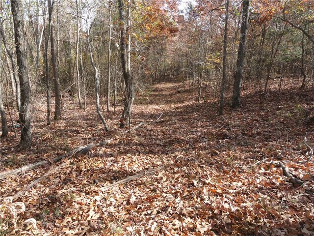 305 Deer Run Rd, Leslie, AR 72645 - view of woods