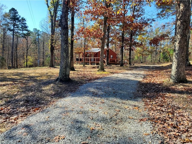 305 Deer Run Rd, Leslie, AR 72645 - view of dirt / gravel driveway
