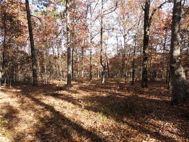 305 Deer Run Rd, Leslie, AR 72645 - view of tree filled area