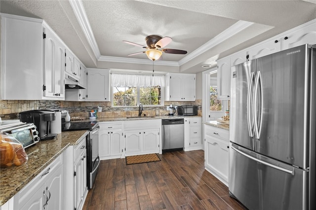 kitchen featuring white cabinetry, appliances with stainless steel finishes, dark wood-type flooring, and a tray ceiling