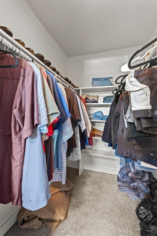 walk in closet with carpet flooring