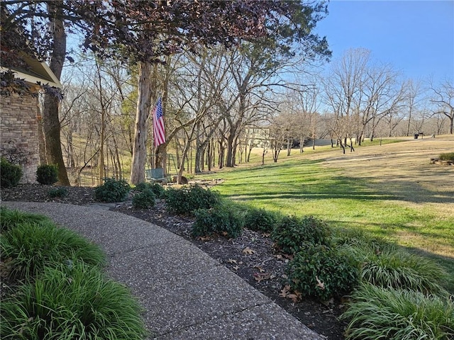 view of home's community featuring a lawn