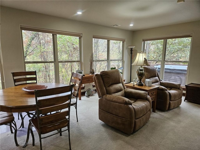 carpeted living room with a healthy amount of sunlight