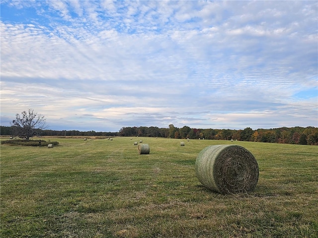 view of yard featuring a rural view