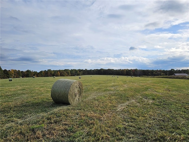 view of yard featuring a rural view