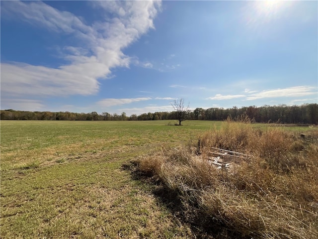 view of local wilderness featuring a rural view