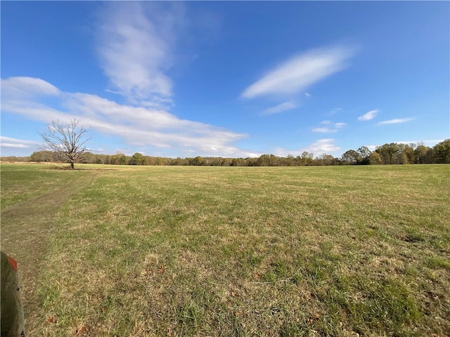 view of yard with a rural view