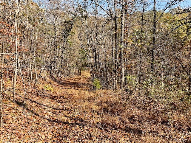 view of local wilderness