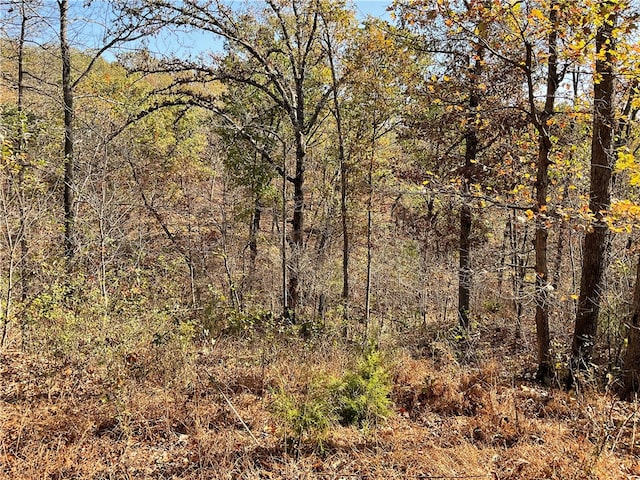 view of local wilderness