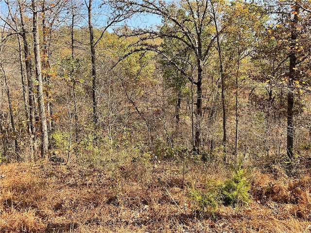 view of landscape