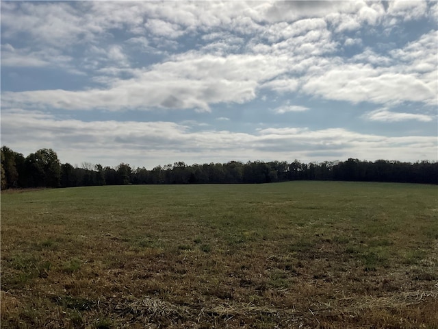 view of local wilderness with a rural view