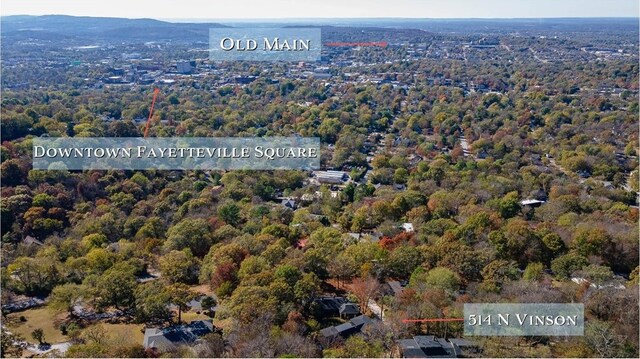 514 N Vinson Ave, Fayetteville, AR 72701 - bird's eye view of a forest