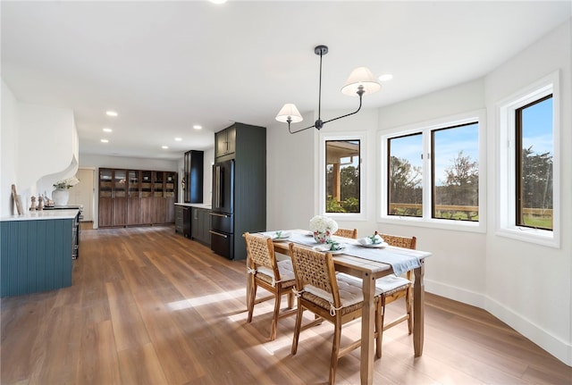 dining area featuring dark wood-type flooring