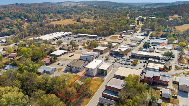 bird's eye view