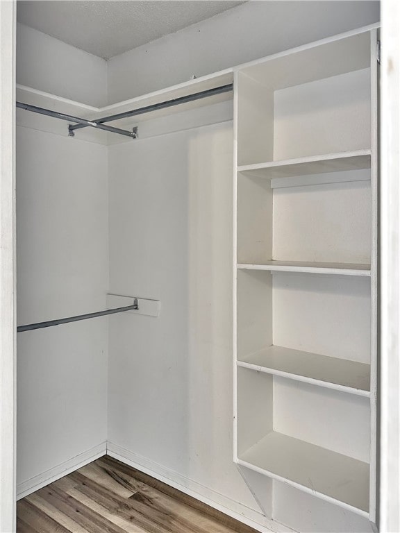 spacious closet with hardwood / wood-style floors