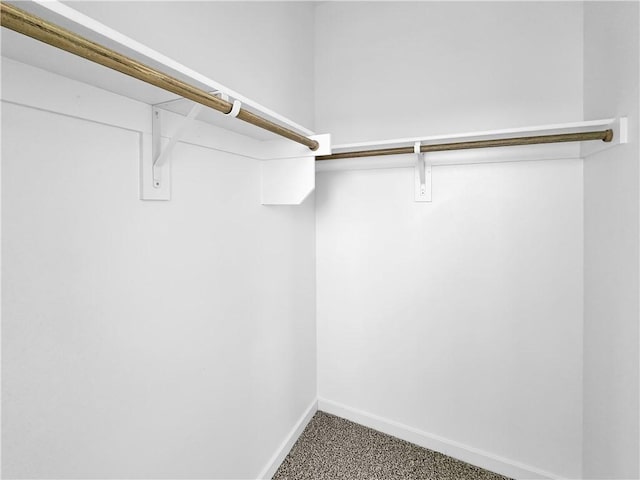 spacious closet featuring carpet flooring