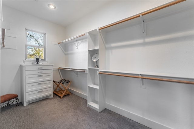 walk in closet with carpet