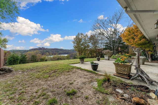 view of yard featuring a patio area and a mountain view