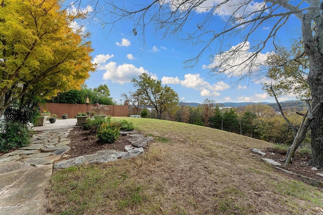 view of yard featuring a patio