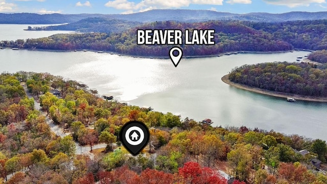 birds eye view of property with a water and mountain view