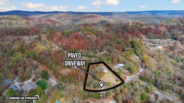 birds eye view of property featuring a mountain view