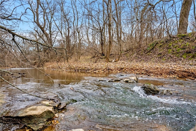 3.25AC Puppy Creek Rd, Lowell, AR 72745
