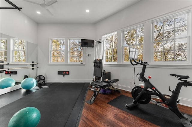 workout area featuring a wealth of natural light, ceiling fan, and dark hardwood / wood-style flooring