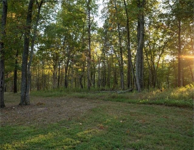 view of landscape