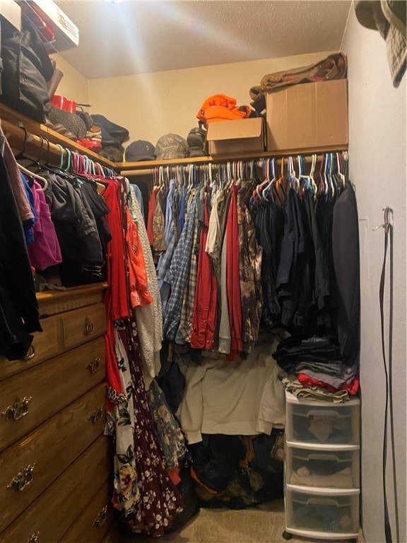 spacious closet with carpet