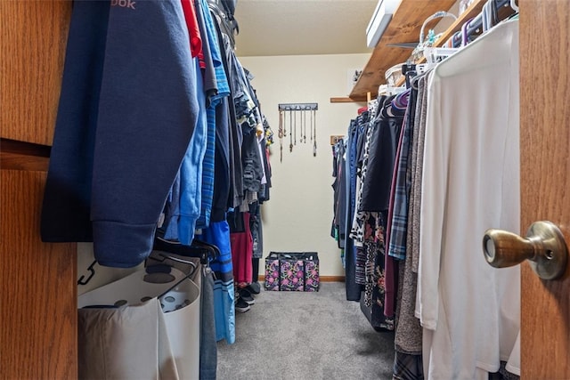 spacious closet featuring carpet flooring